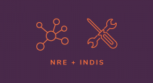 NRE and INDIS